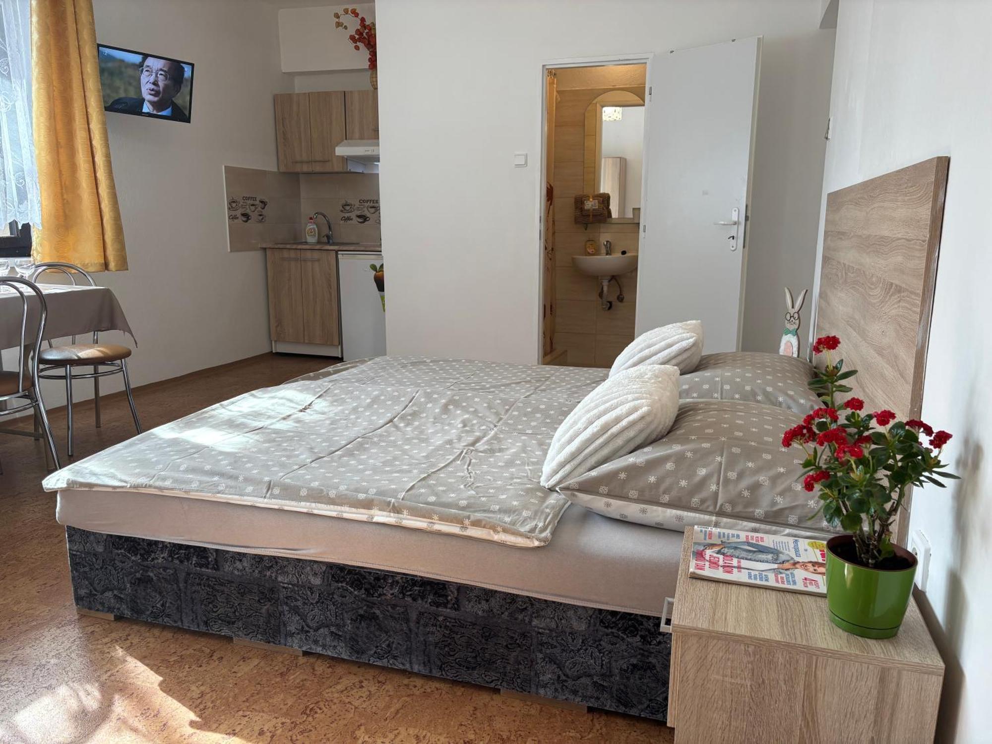 Apartmanovy Dom Grand Štúrovo 외부 사진